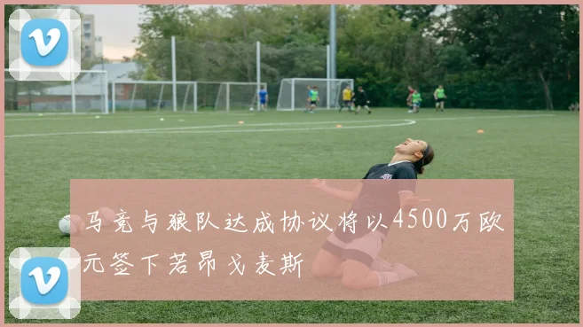 马竞与狼队达成协议将以4500万欧元签下若昂戈麦斯